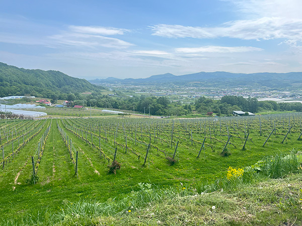 風景2
